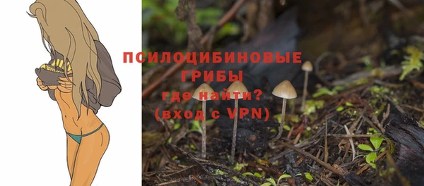 PSILOCYBIN Горняк